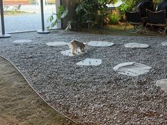 -J Create城市露营咖啡·简餐·宠物(上海动物园店)