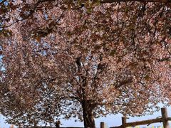 -汉长安城未央宫国家考古遗址公园