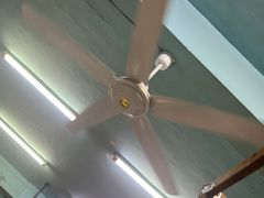 -万顺啤酒屋(皇寺路店)