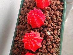 -聚串门儿·东北烧烤(信义坊店)