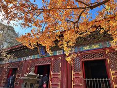 -香山公园