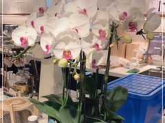 -Peet's Coffee皮爷咖啡(德基店)