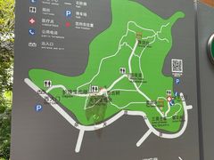 -上海佘山国家森林公园天马山园