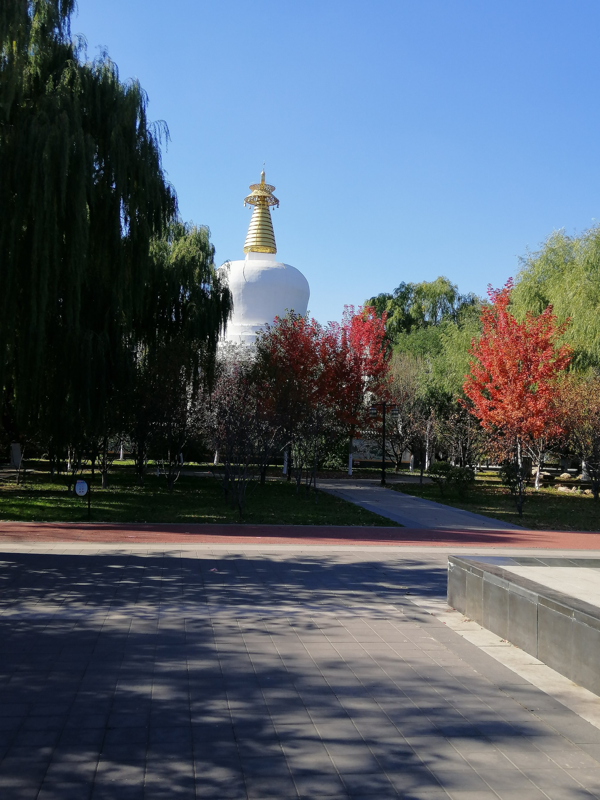 沈阳南塔公园风景图片图片