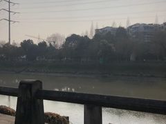 -运河游船(武林门码头)