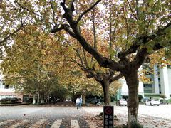 -四川农业大学(雅安校区)