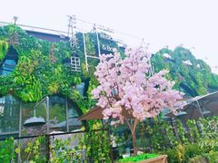 -胡桃里音乐酒馆(下沙店)