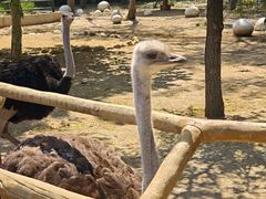 -大连森林动物园