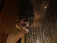 -长春凯悦酒店咖啡厅Market Café