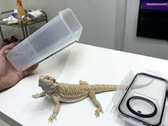 -立德异宠动物医院.兔鸟爬.内窥镜(天河店)