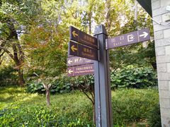 -徐家汇源景区-衡山公园