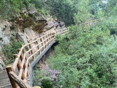 -黄河丹峡