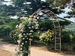 -国家植物园南园