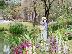 -人民公园(罗湖区)