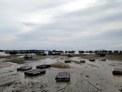 -硇洲岛旅游区