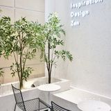 深圳探店｜喜茶新品 黄皮系列茶饮