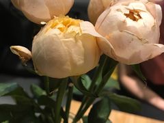 -扫雪煮茶(西村店)