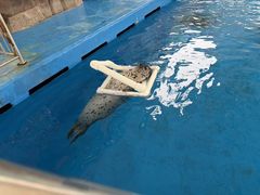 -石家庄极地海洋世界