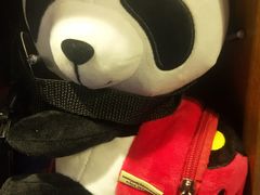 -熊猫屋(宽窄巷子景区店)