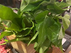 -盡膳口福跷脚牛肉火锅(时代广场店)