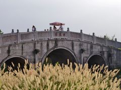 -嘉北郊野公园