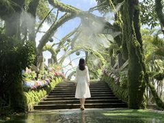 -东南花都花博园