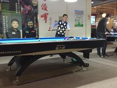 -丁俊晖台球俱乐部(海上海·弘基休闲广场店)