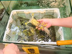 -寻味顺德·南记酒家·传统顺德菜·鱼生(广源路店)