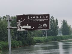 -白洋淀景区