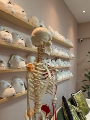 -颜和骨正&明星徒手小颜整骨