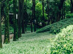 -广州珠江公园