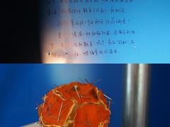 -上海当代艺术博物馆