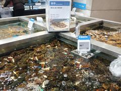 水产区-盒马鲜生(189购物中心店)