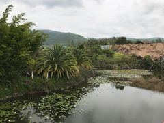 -世界恐龙谷景区