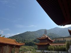 -深圳仙湖植物园