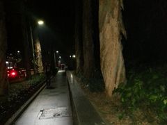 -中山大学学者灵芝(园南路店)