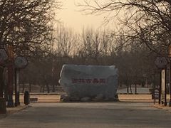 -御林古桑园