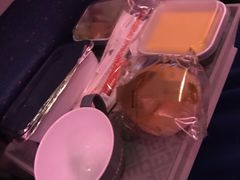 -谢列梅捷沃国际机场