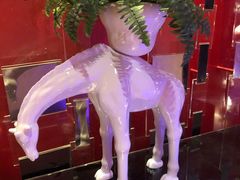 -纯K(打浦桥店)