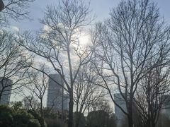 -尚贤河湿地