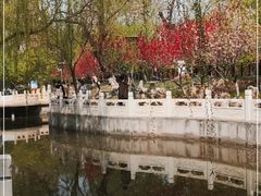 -桃花堤公园