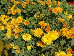 -水上乐园·欢乐世界