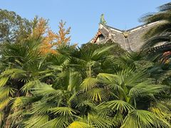 -四川大学(华西校区)