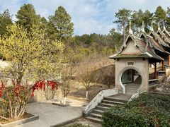 -报恩禅寺