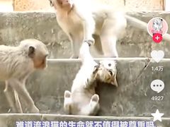 -昆明动物园