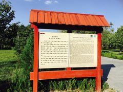 -赵州桥景区