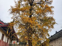 -金堂县云顶石城风景区