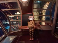 -影汇之星8字形摩天轮