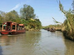 -溱湖国家湿地公园