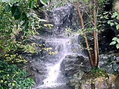 -天目湖山水园